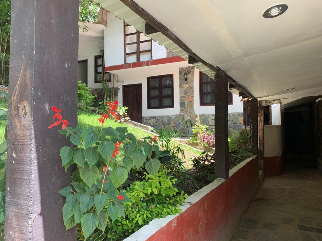Finca Quinta Los Cedros Xilitla Dış mekan fotoğraf
