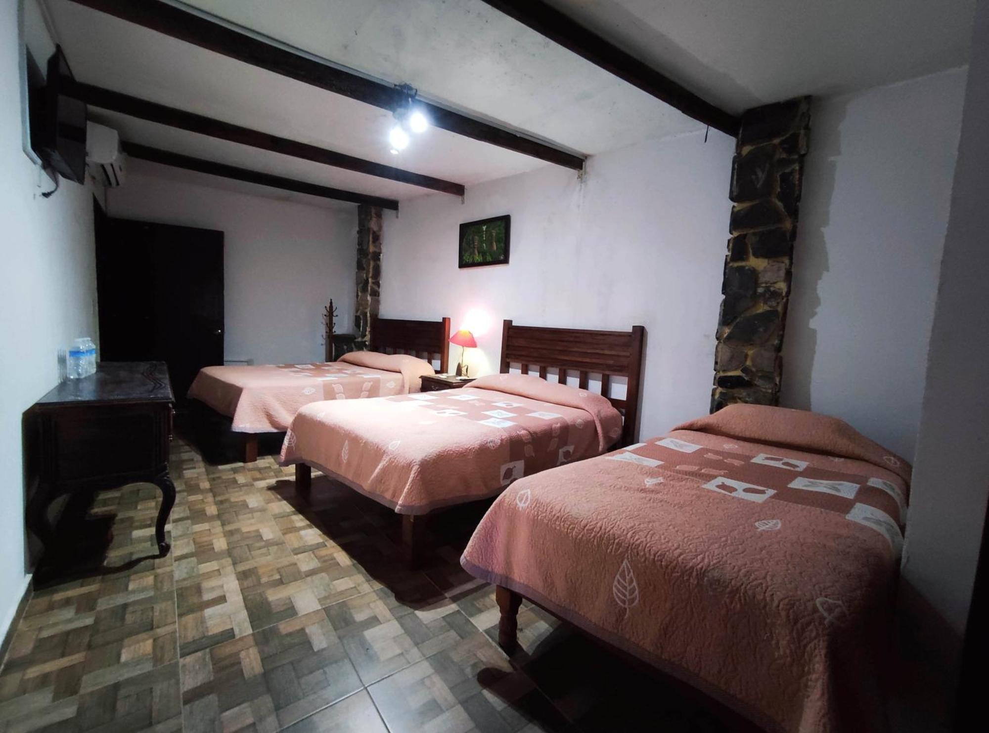 Finca Quinta Los Cedros Xilitla Oda fotoğraf